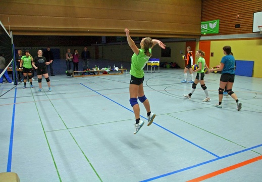 080214 VCL2 Bad Soden-27-1600