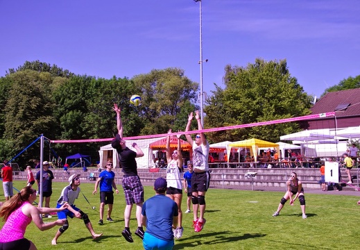 IMGP1652
