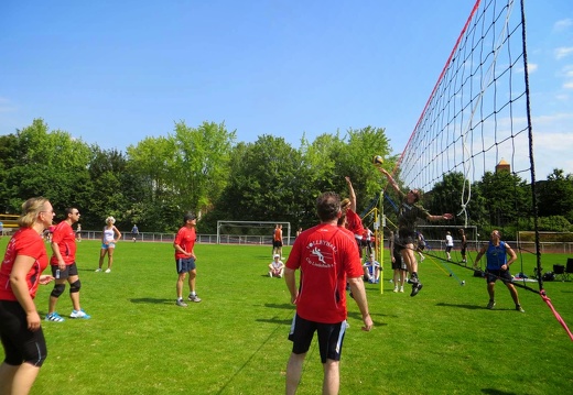 IMG 4410-1600