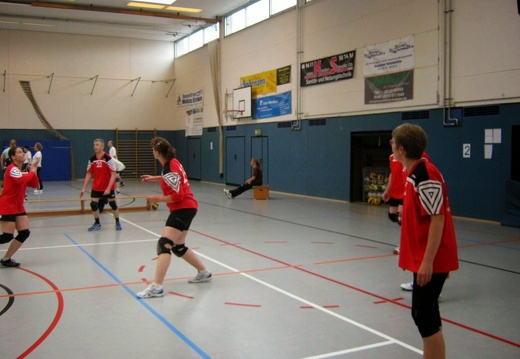 IMG 0323-1600